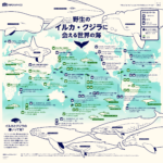 イルカやクジラに会える世界的の海のスポット