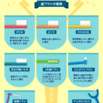 歯やオーラルケアの豆知識