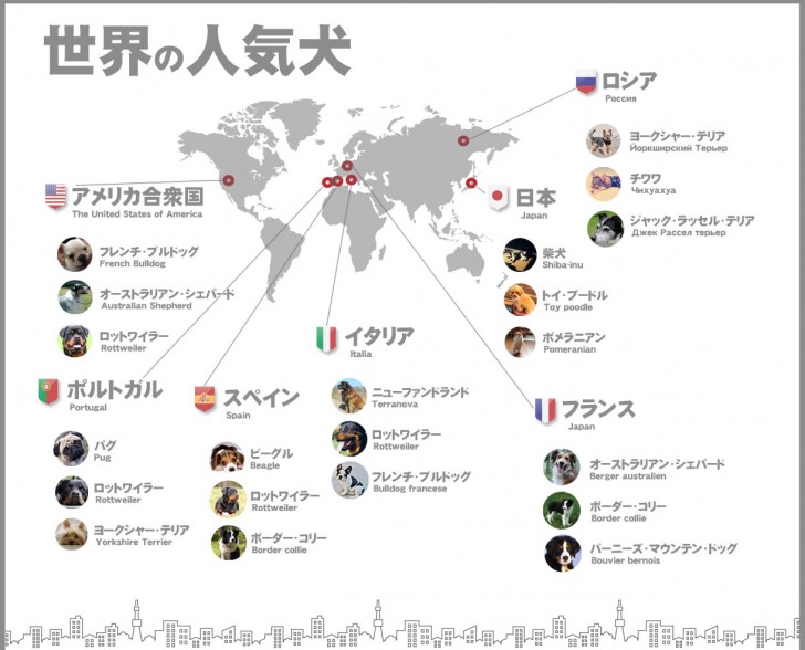 インフォグラフィック：世界の人気犬種ランキング。日本は柴犬が1位にランクイン
