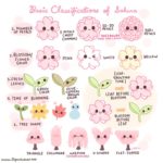 桜に関する花言葉やソメイヨシノの寿命など